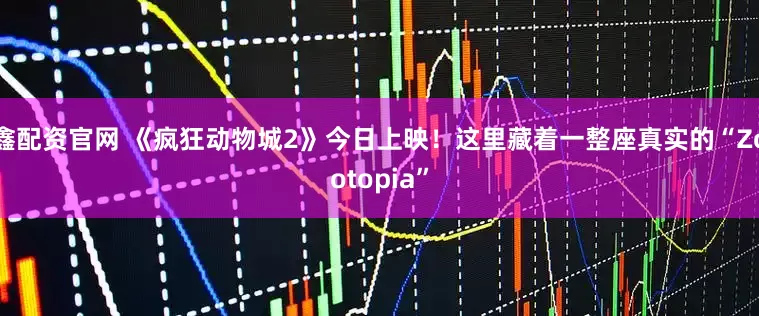 鑫配资官网 《疯狂动物城2》今日上映！这里藏着一整座真实的“Zootopia”