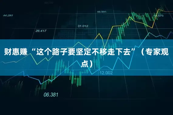 财惠赚 “这个路子要坚定不移走下去”（专家观点）